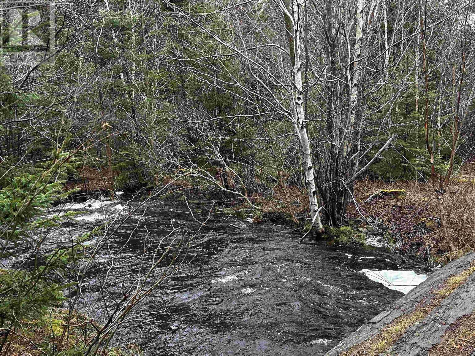 8960 Highway 101, Brighton, Nova Scotia  B0V 1A0 - Photo 12 - 202500849