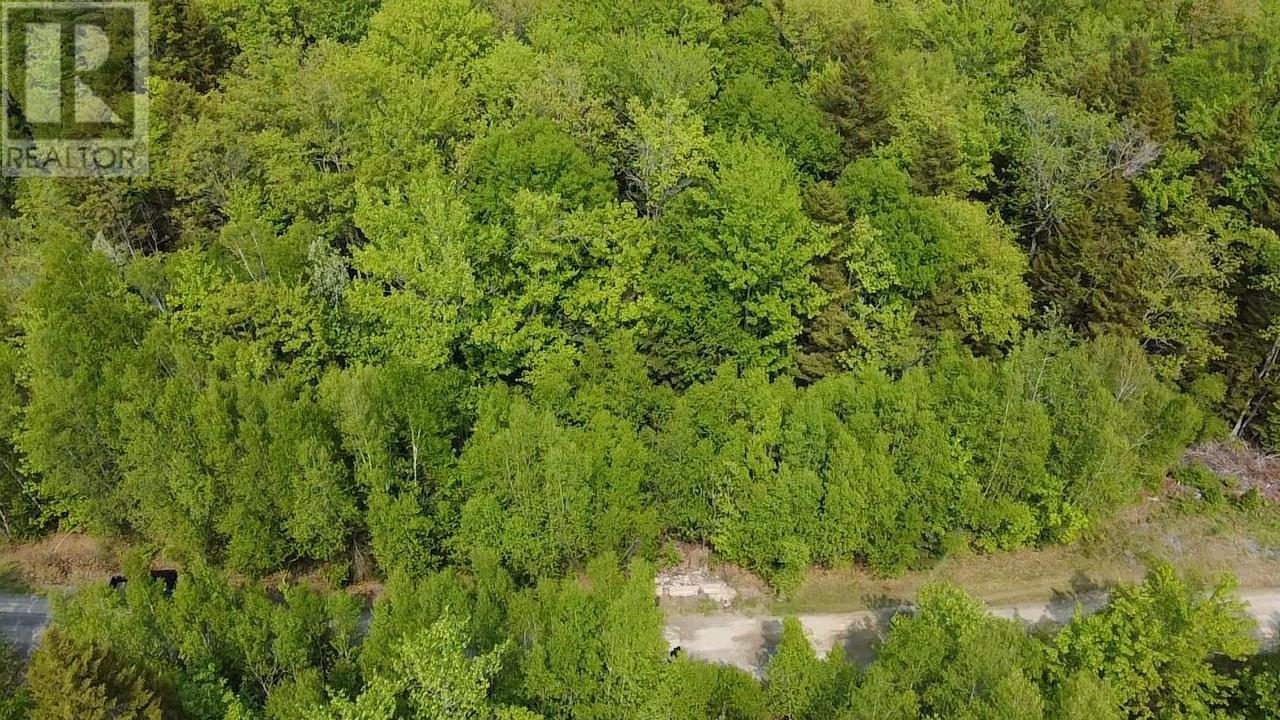Lot Fletchers Lake, Wellington, Nova Scotia  B2T 1A2 - Photo 8 - 202500860