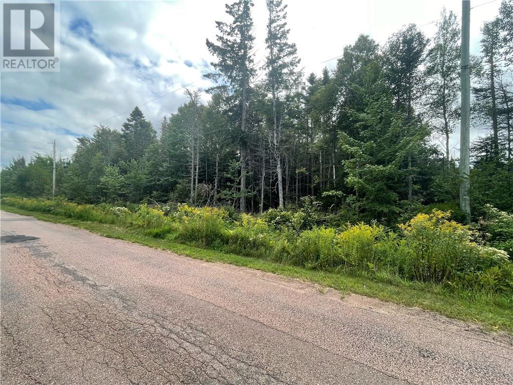 Lot Johnston Point Road, Johnston Point, New Brunswick  E4M 1P4 - Photo 2 - M161797