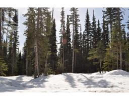 Pst Lot-12 Alpine Way, Smithers, Ca