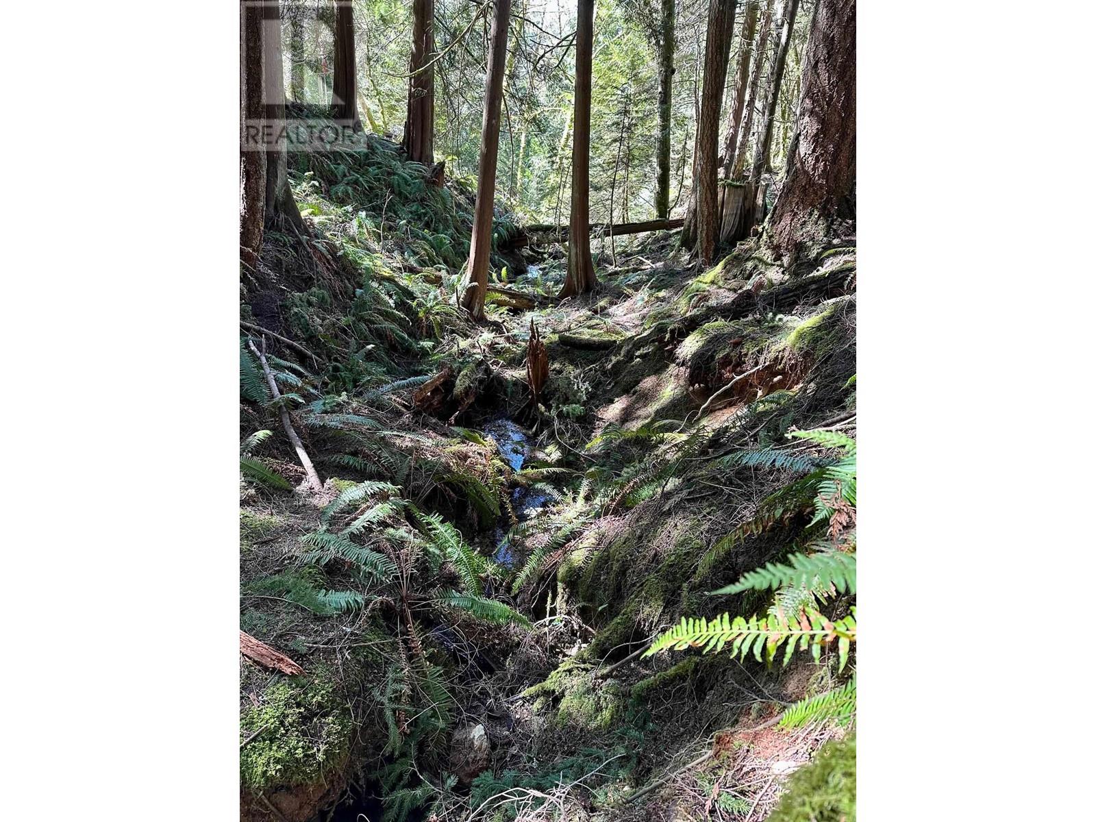 7095 Sechelt Inlet Road, Sechelt, British Columbia  V0N 1Y2 - Photo 6 - R2956292