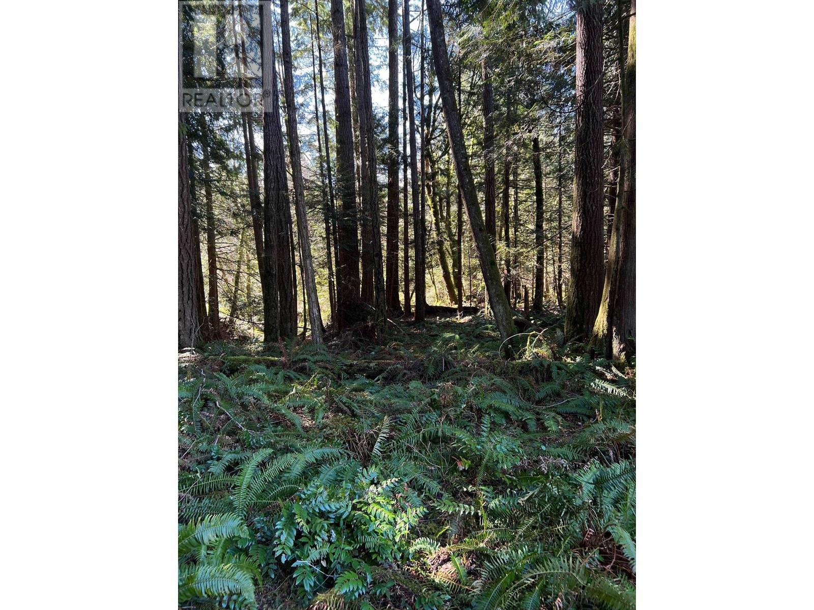 7095 Sechelt Inlet Road, Sechelt, British Columbia  V0N 1Y2 - Photo 8 - R2956292