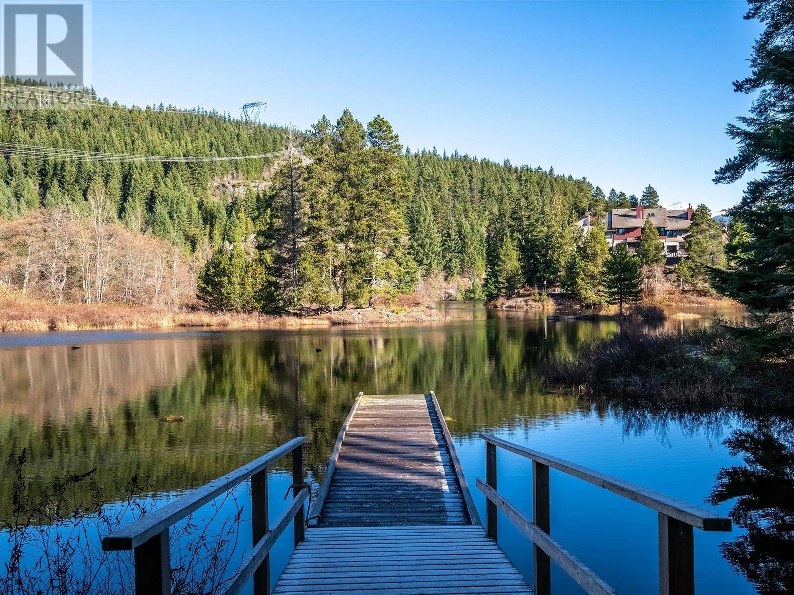 A201 1400 Alta Lake Road, Whistler, British Columbia  V8E 0G9 - Photo 16 - R2956299