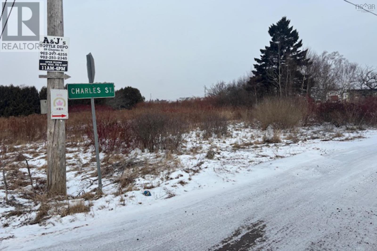 75 Highway 242, Joggins, Nova Scotia  B0L 1A0 - Photo 5 - 202500886