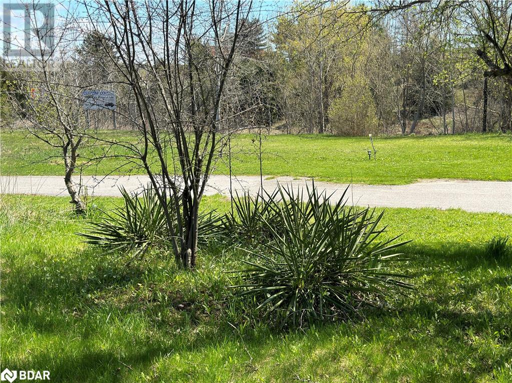 2894 County Road 48 Road, Coboconk, Ontario  K0M 1K0 - Photo 33 - 40690395