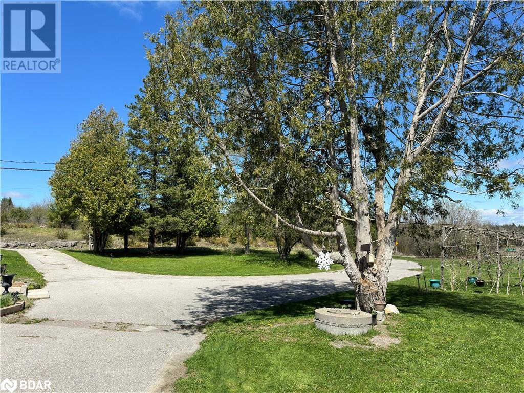 2894 County Road 48 Road, Coboconk, Ontario  K0M 1K0 - Photo 7 - 40690395