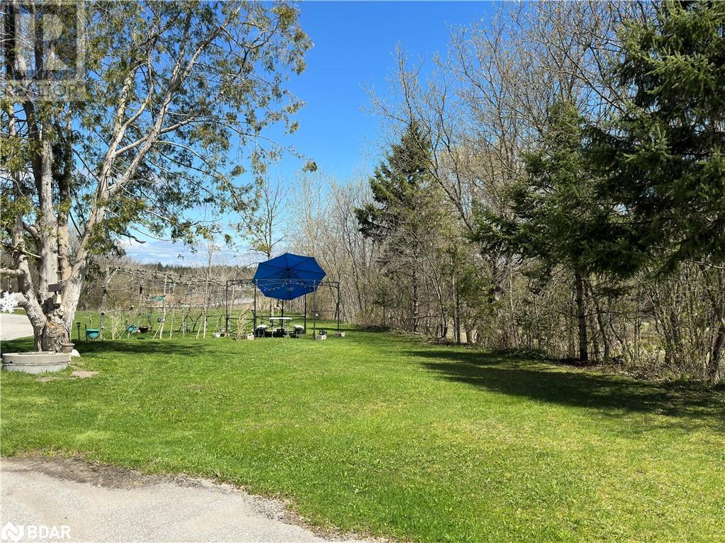 2894 County Road 48 Road, Coboconk, Ontario  K0M 1K0 - Photo 8 - 40690395