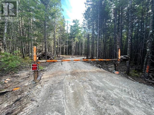 Lot 29 Boutilier Branch Road, Kemptville, Nova Scotia  B0W 1Y0 - Photo 23 - 202500821