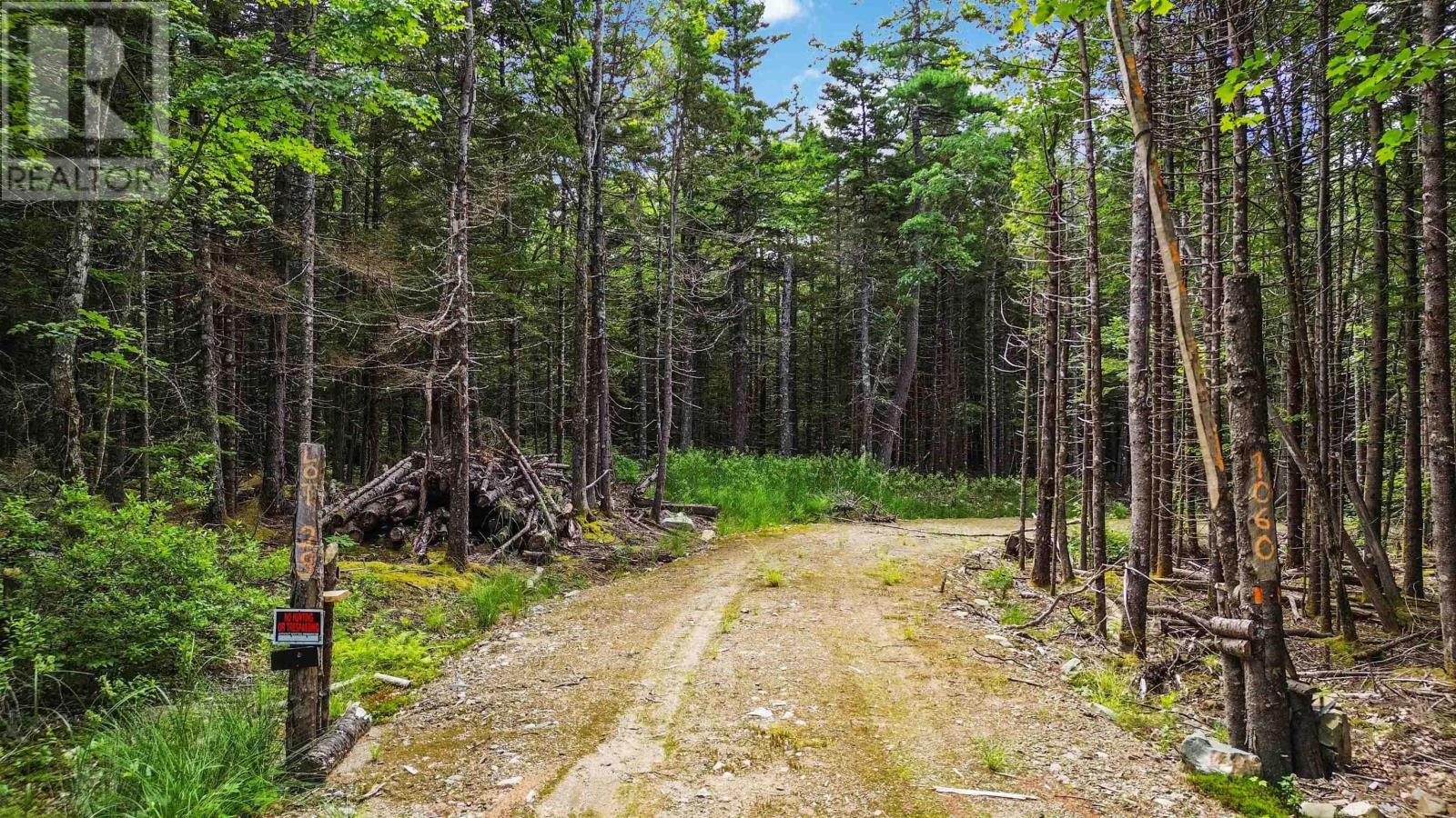 Lot 29 Boutilier Branch Road, Kemptville, Nova Scotia  B0W 1Y0 - Photo 5 - 202500821