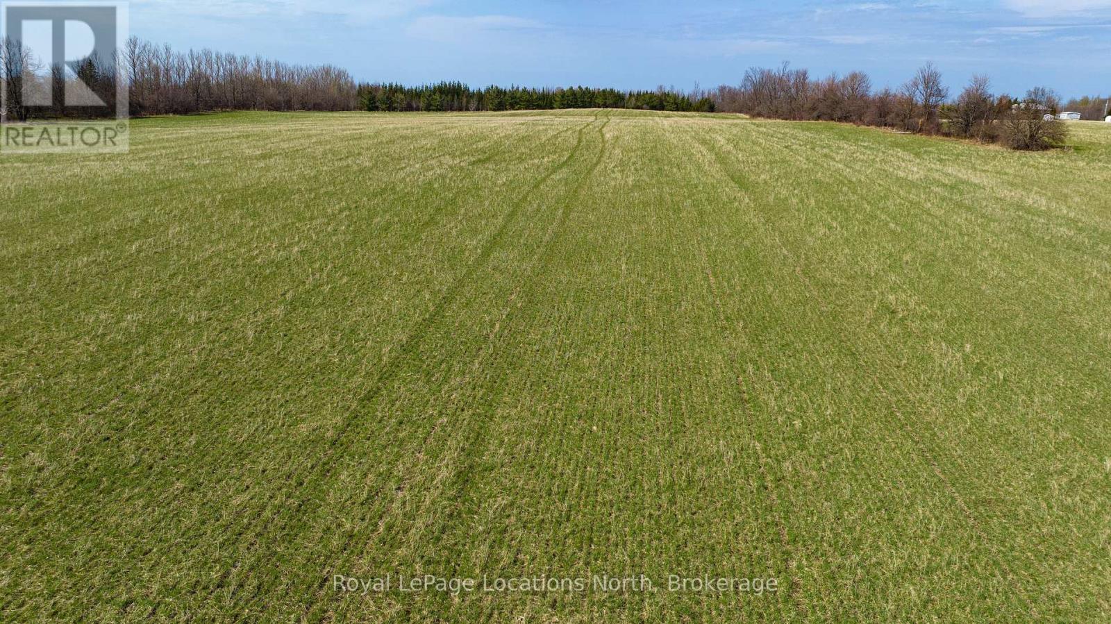 Lt17-18 6th Line, Blue Mountains, Ontario  N0H 1J0 - Photo 16 - X11924247