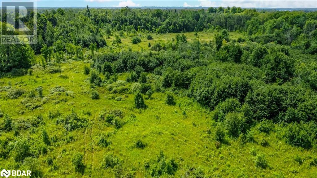 Lot 5 Concession 5, Carden, Ontario  K0M 2B0 - Photo 4 - 40690233