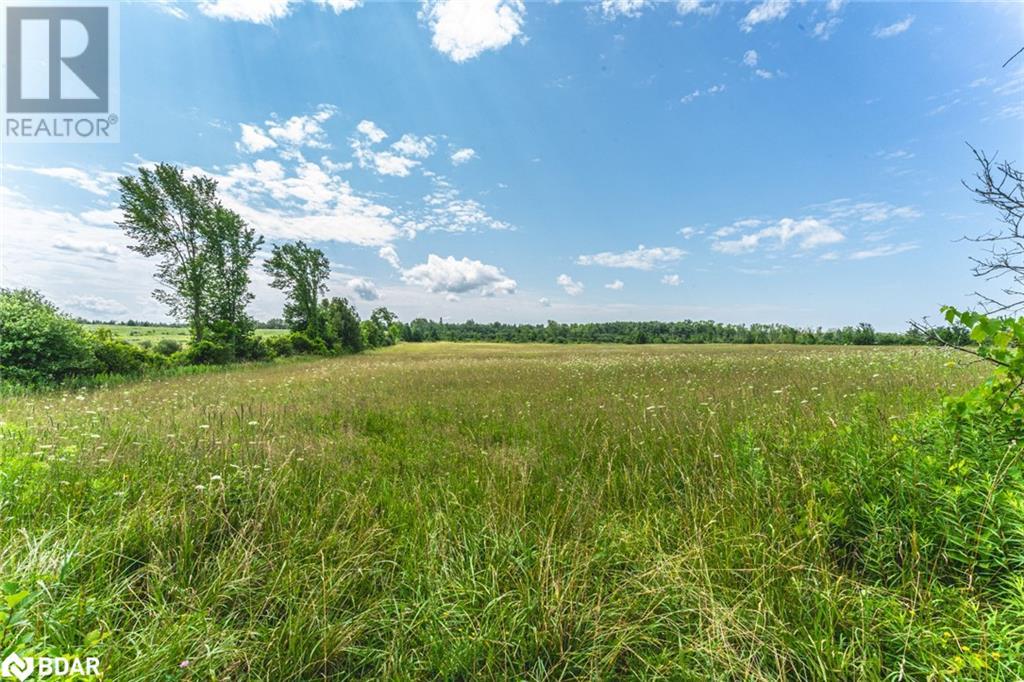 Lot 5 Concession 5, Carden, Ontario  K0M 2B0 - Photo 7 - 40690233