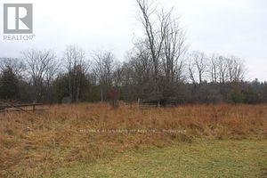 2068 Kirkfield Road, Kawartha Lakes (Carden), Ontario  K0M 2B0 - Photo 8 - X11924829