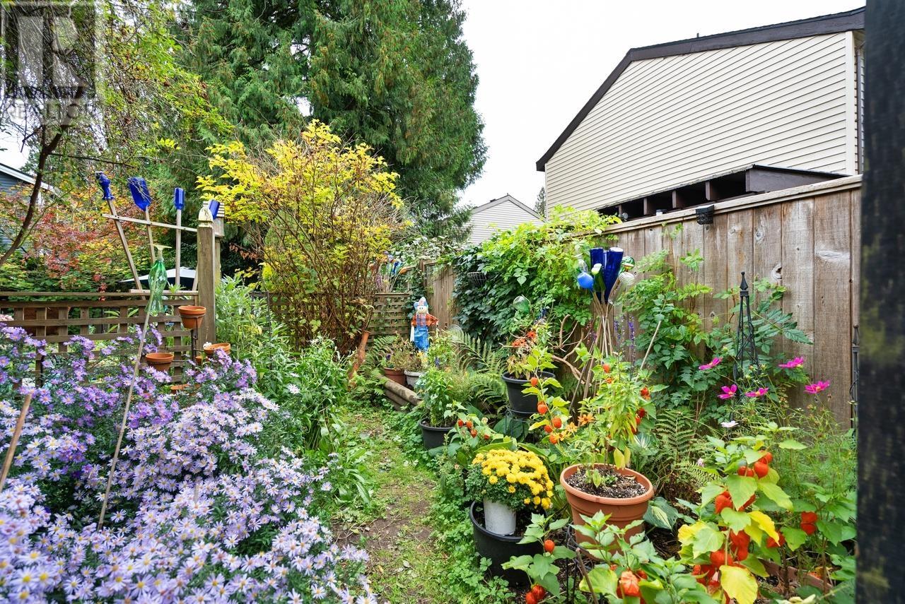 2532 Burian Drive, Coquitlam, British Columbia V3K 5W9 - Photo 26 - R2931960