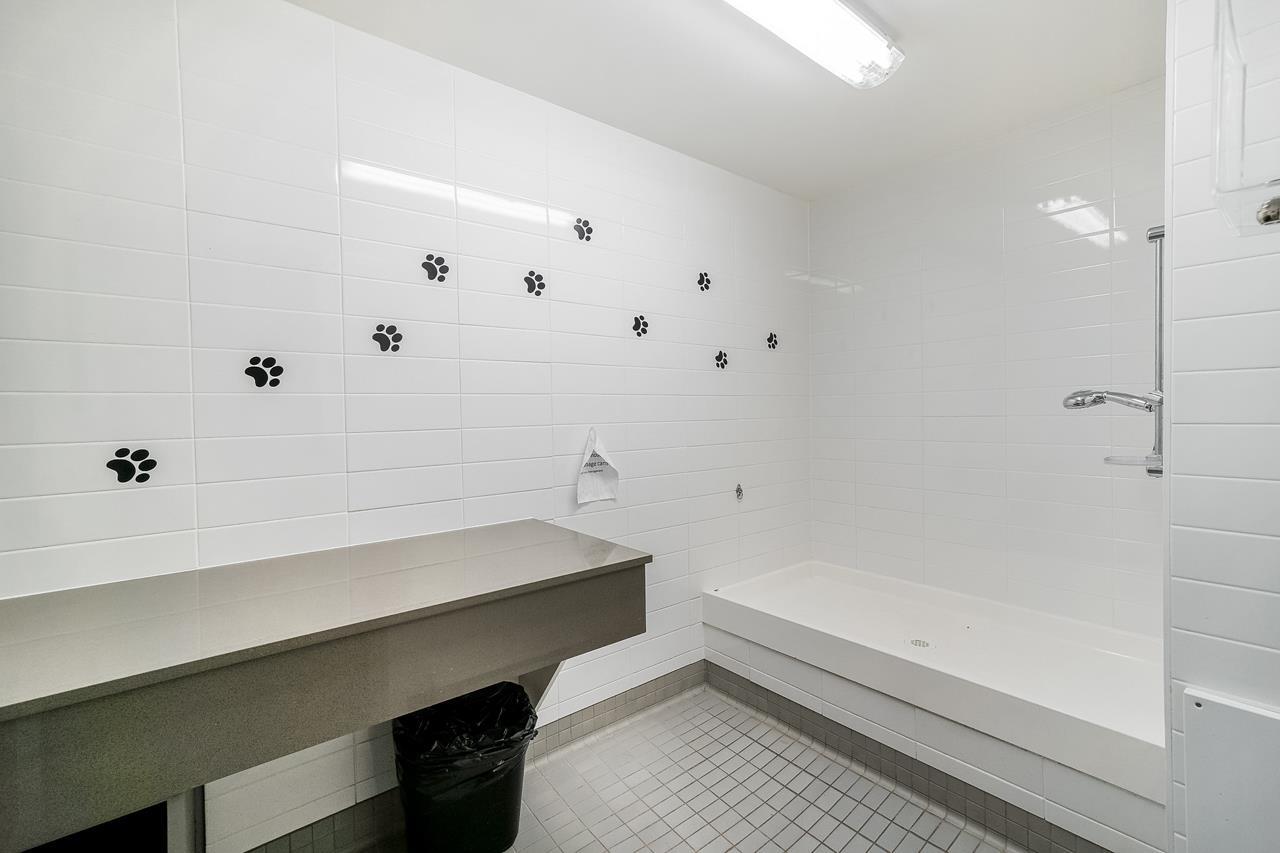 124 8138 204 Street, Langley, British Columbia  V2Y 0T4 - Photo 39 - R2956908