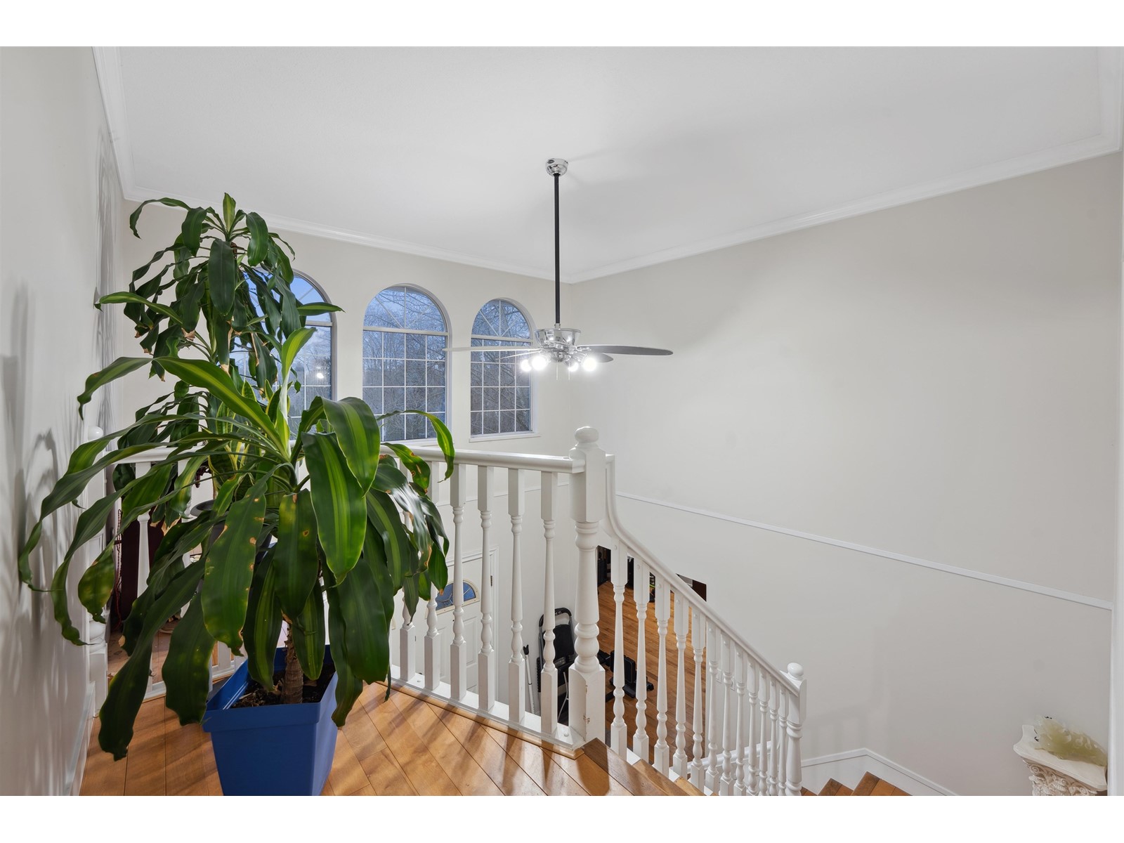 14077 84th Avenue, Surrey, British Columbia  V3W 0V5 - Photo 24 - R2956398
