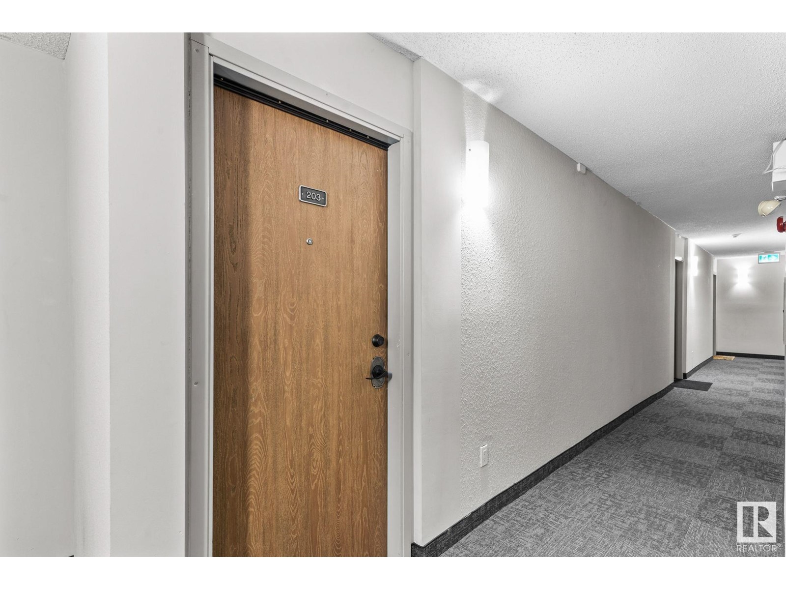 Property at #203 10138 116 ST NW image 4