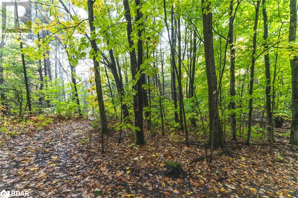 Pt Lots 23 & 24 Con 8, Oro-Medonte, Ontario  L0K 2C0 - Photo 8 - 40690912