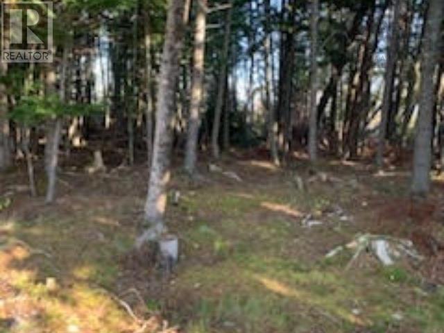 18 Acres Highway 256, West Branch, Nova Scotia  B0K 1R0 - Photo 4 - 202500999