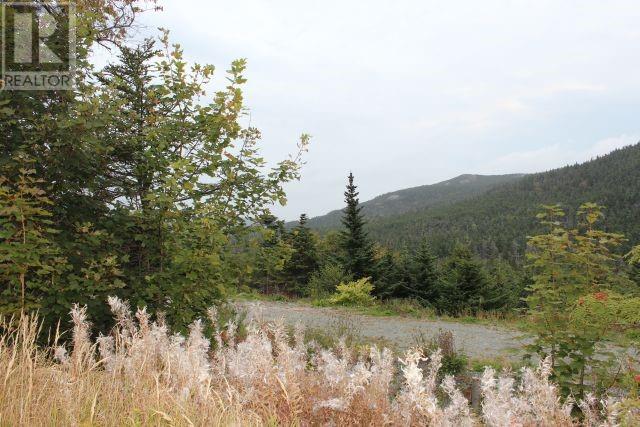 235-241 Beachy Cove Road, Portugal Cove-St. Philip's, Newfoundland & Labrador  A1M 1Z4 - Photo 13 - 1281002