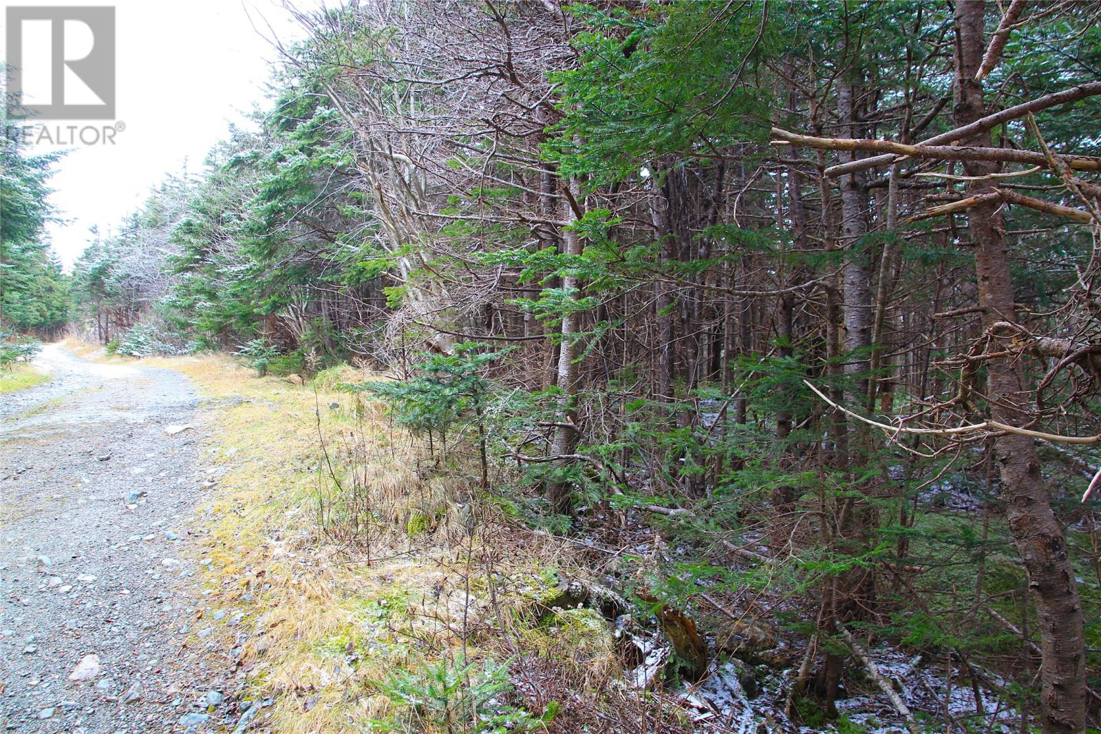 Property at 49-67 Gallows Cove Road image 5