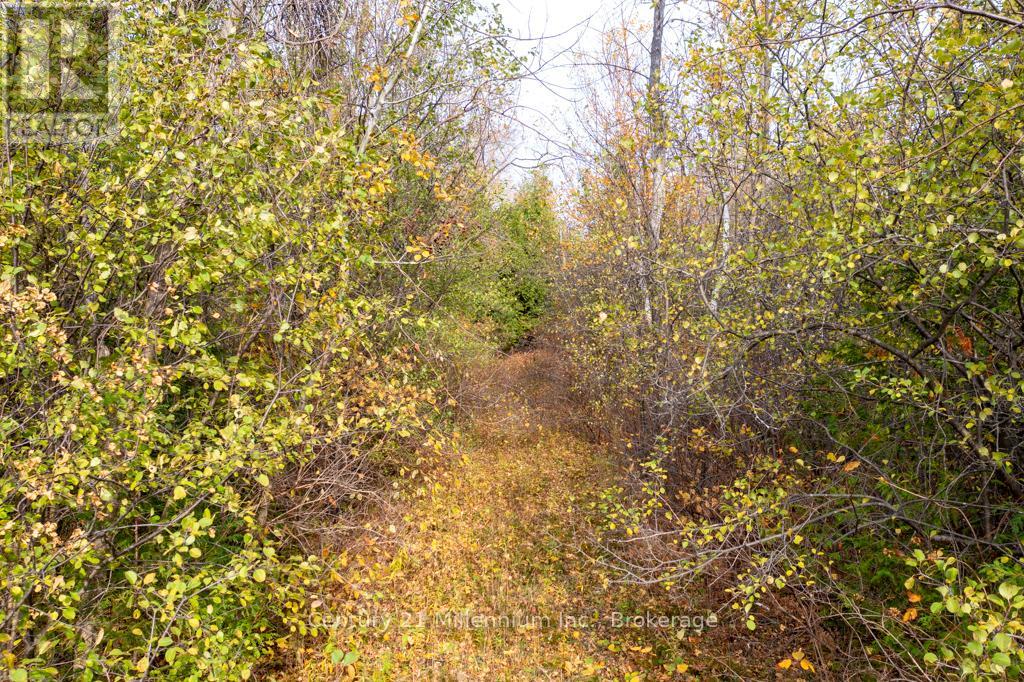 Lot 26 Delphi Lane, Blue Mountains, Ontario  N0H 2P0 - Photo 13 - X11926614