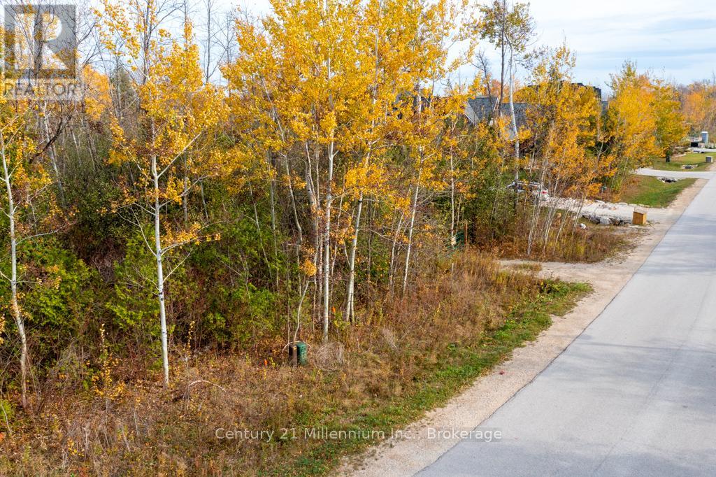Lot 26 Delphi Lane, Blue Mountains, Ontario  N0H 2P0 - Photo 9 - X11926614