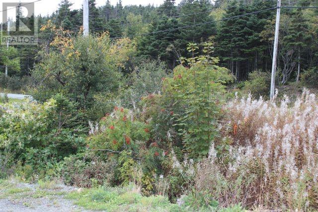 Property at 235-237 Beachy Cove Road Unit#LOT 1 image 1