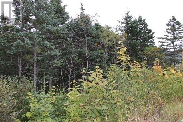 Property at 235-237 Beachy Cove Road Unit#LOT 1 image 2