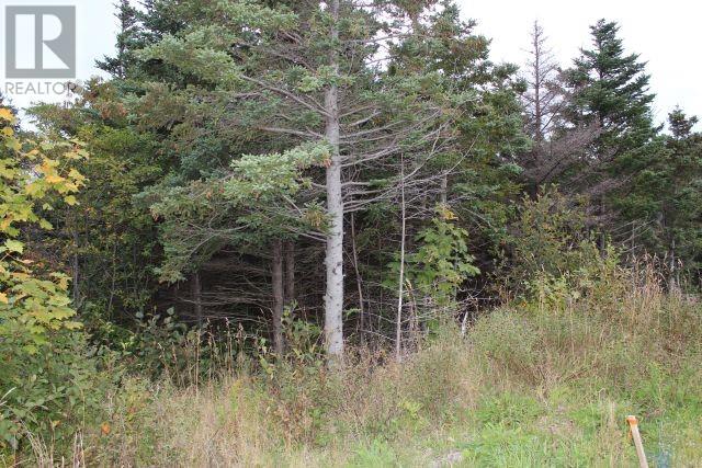 235-237 Beachy Cove Road Unit#lot 1, Portugal Cove-St. Philip's, Newfoundland & Labrador  A1M 1Z4 - Photo 3 - 1281010