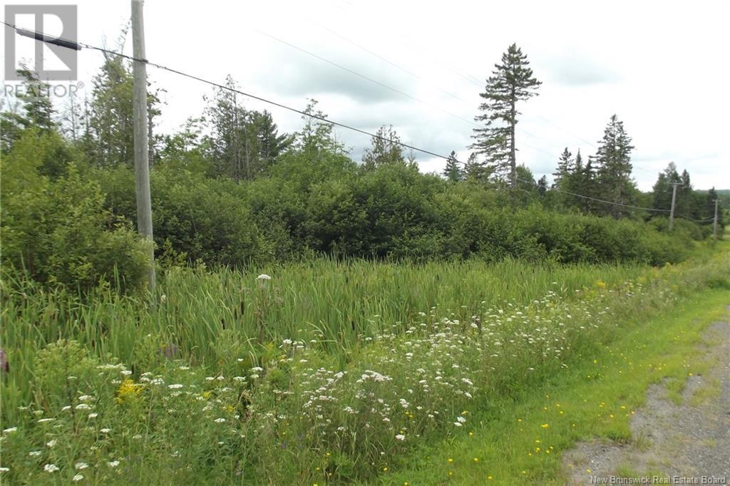 000 620 Route, Tay Creek, New Brunswick  E6B 1K5 - Photo 2 - NB111356