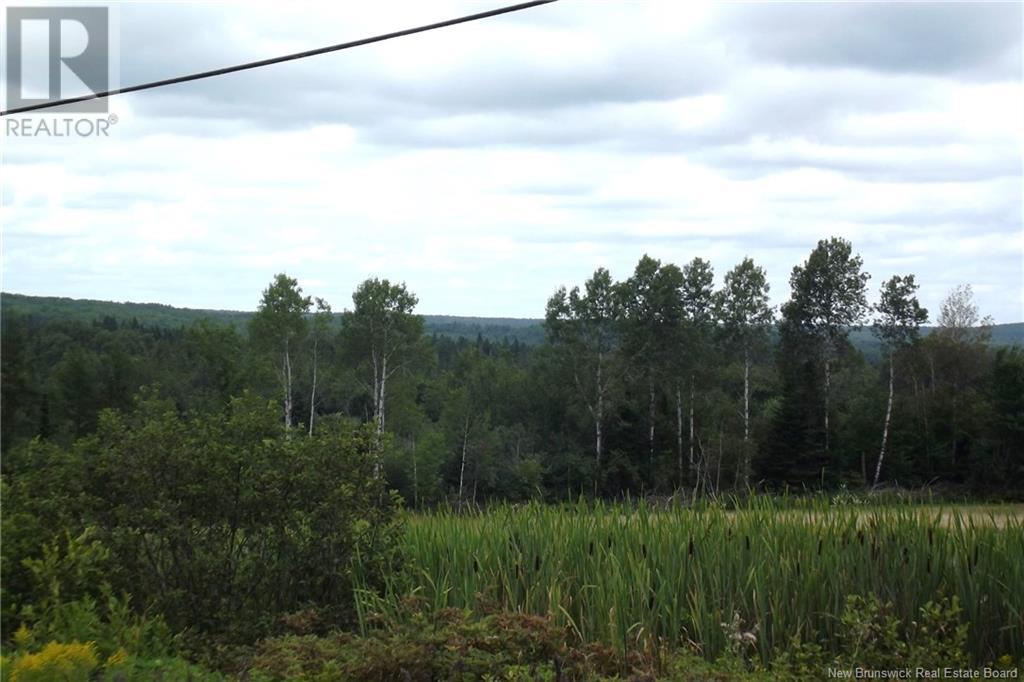 000 620 Route, Tay Creek, New Brunswick  E6B 1K5 - Photo 3 - NB111356