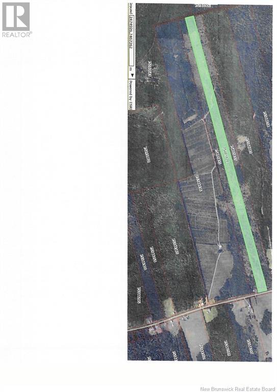 000 620 Route, Tay Creek, New Brunswick  E6B 1K5 - Photo 5 - NB111356