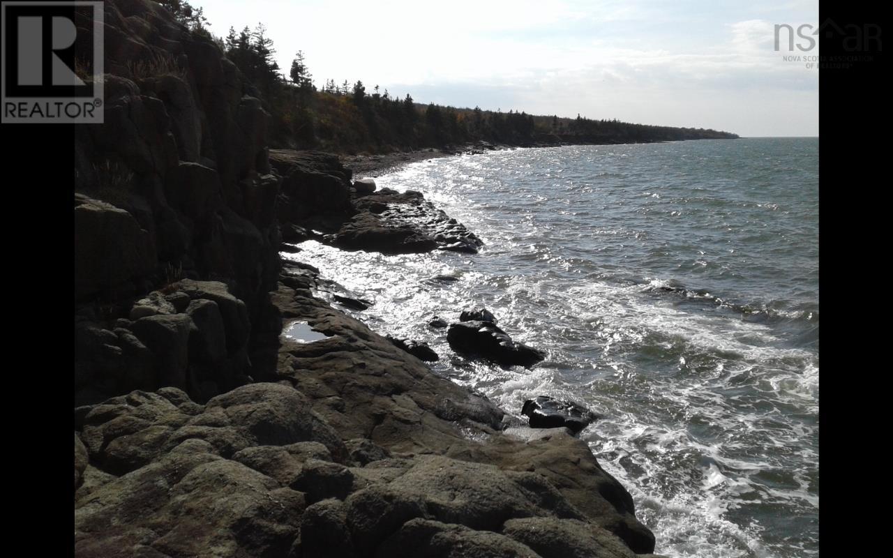 Lot Shore Road, Litchfield, Nova Scotia  B0S 1A0 - Photo 9 - 202501043