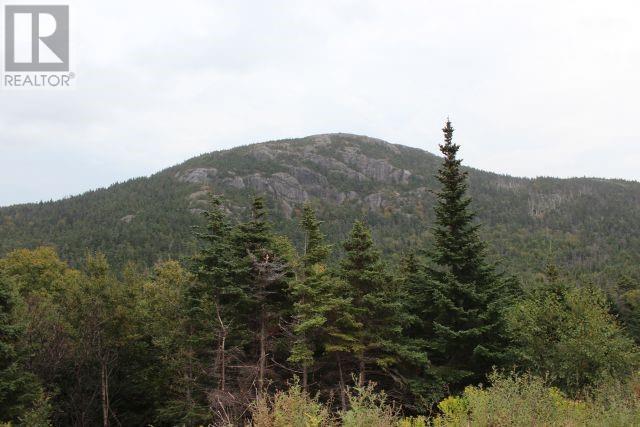 Property at 239-241 Beachy Cove Road Unit#LOT 2 image 4