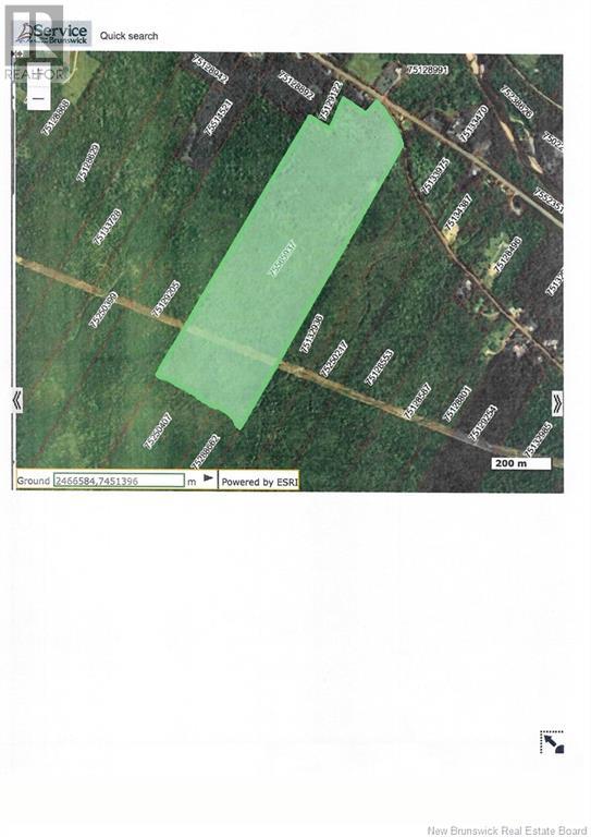 N/a 104 Route, Zealand, New Brunswick  E6L 2H7 - Photo 1 - NB111362