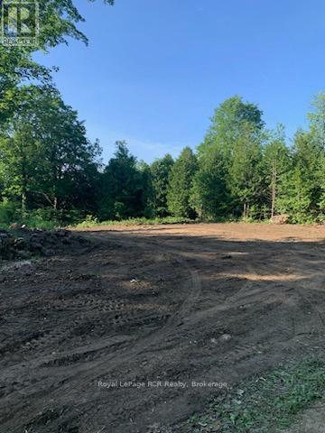 00000 Penny Lane, Grey Highlands, Ontario  N0C 1E0 - Photo 6 - X11927172