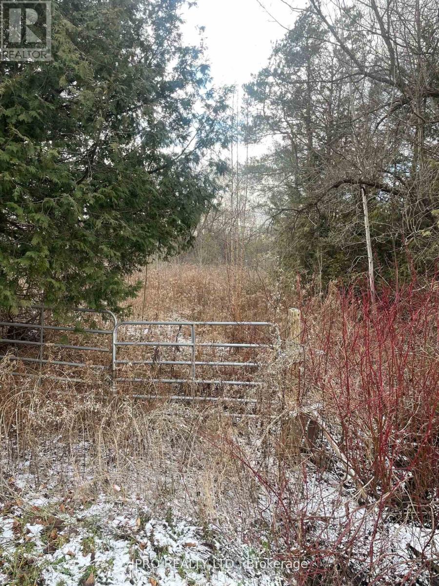 3350 Middle Road, Clarington, Ontario  L1C 3K2 - Photo 10 - E11925739