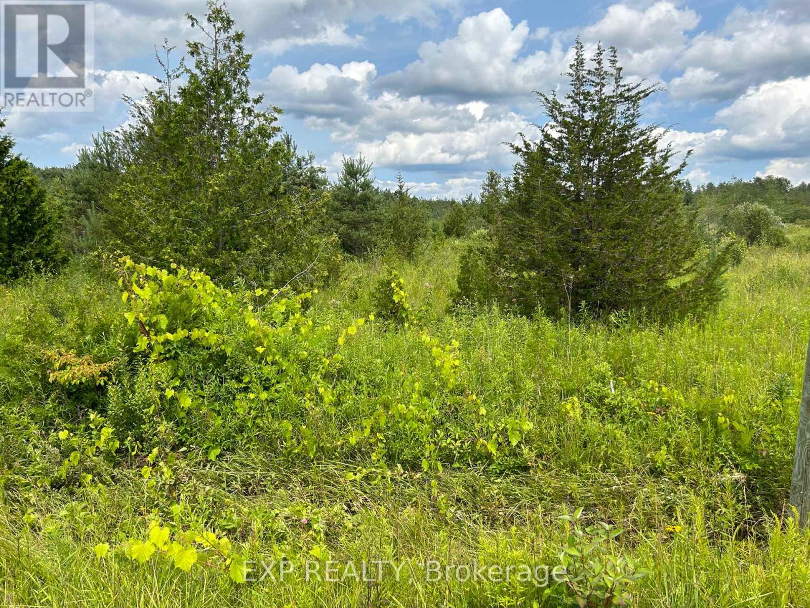 1125 WOOD ROAD, tay, Ontario