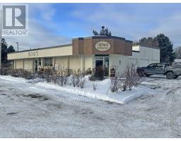 376 Lisgar Street, Thunder Bay, Ontario