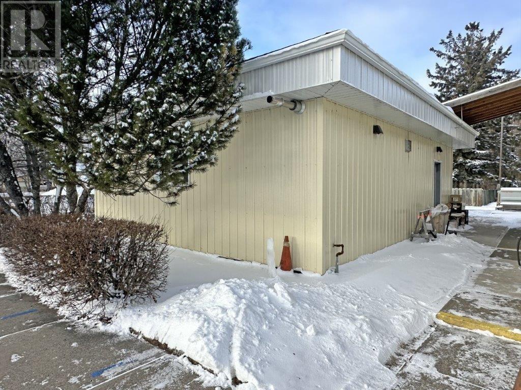 376 Lisgar Street, Thunder Bay, Ontario  P7B 2M4 - Photo 43 - TB250092