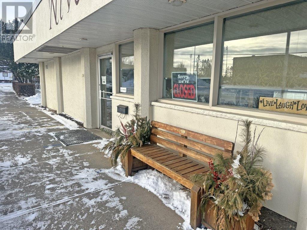 376 Lisgar Street, Thunder Bay, Ontario  P7B 2M4 - Photo 9 - TB250092
