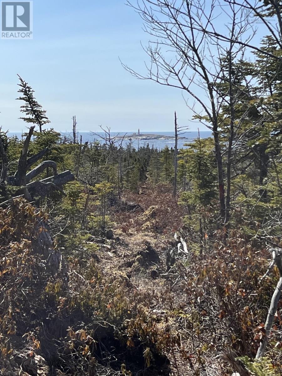 Lot Bald Rock Road, Bald Rock, Nova Scotia  B3V 1K9 - Photo 13 - 202315285