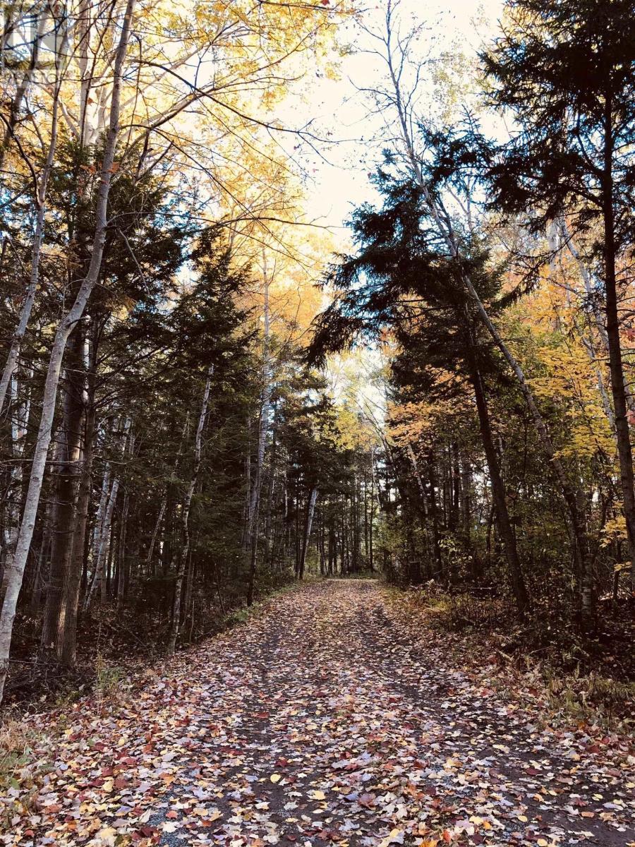 56 Blue Haven Lane, Abercrombie, Nova Scotia  B2H 5C6 - Photo 50 - 202501050