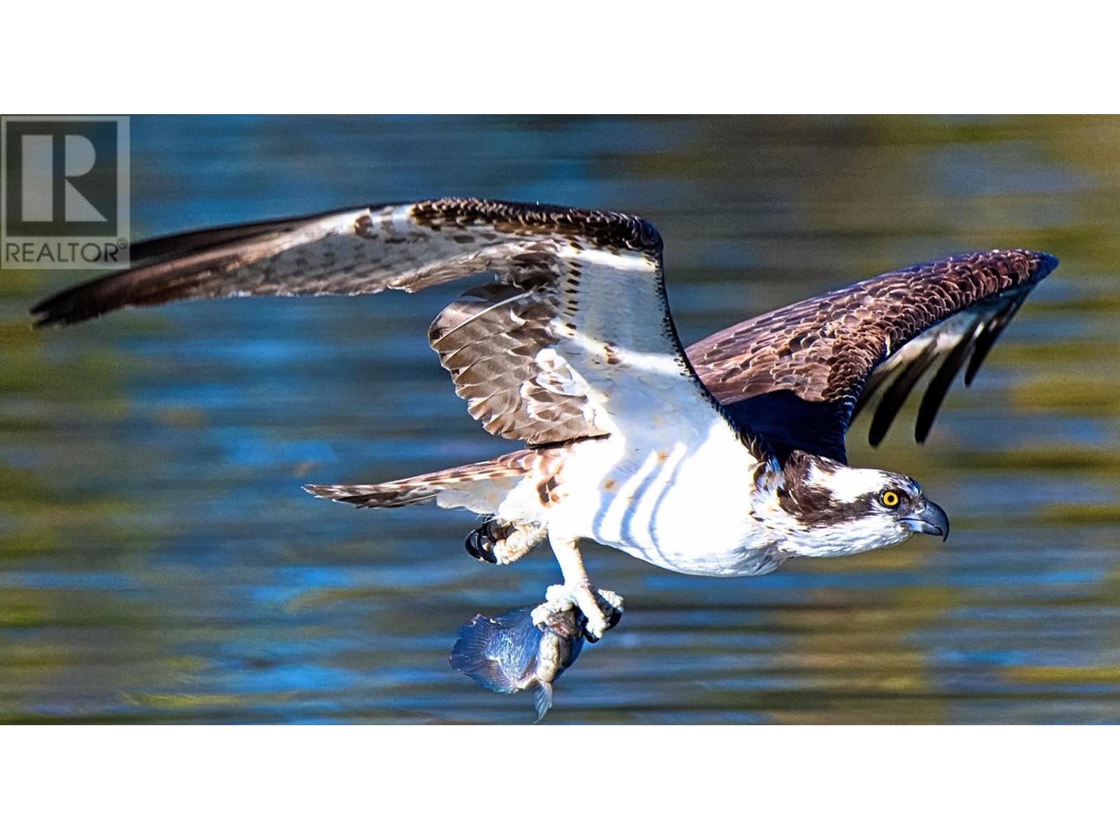 5280 Gordon Drive Lot# 1 & 2, Kelowna, British Columbia V1W 4A2 - Photo 3 - 10332471