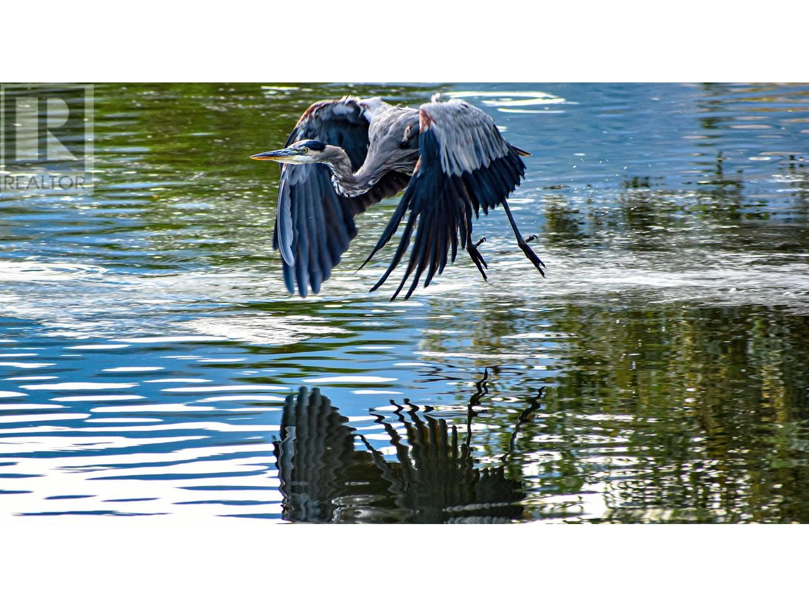 5280 Gordon Drive Lot# 1 & 2, Kelowna, British Columbia V1W 4A2 - Photo 6 - 10332471