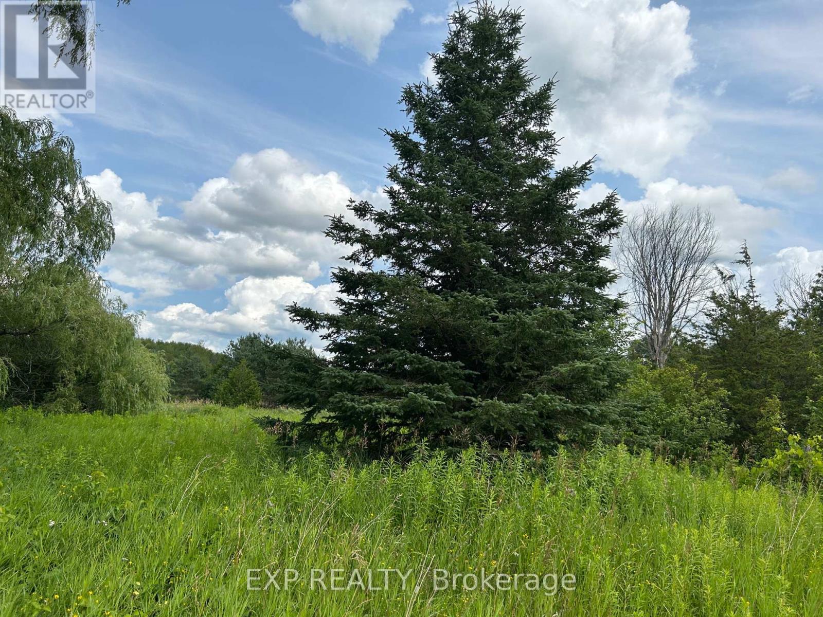 1155 WOOD ROAD, tay, Ontario
