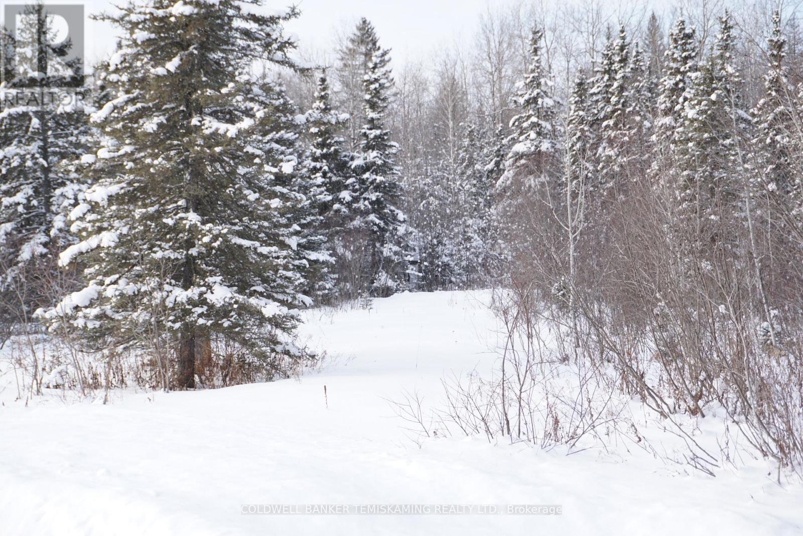 Lt3 C6 Barber Township Road, Timiskaming Remote Area, Ontario  P0J 1M0 - Photo 7 - T11928453