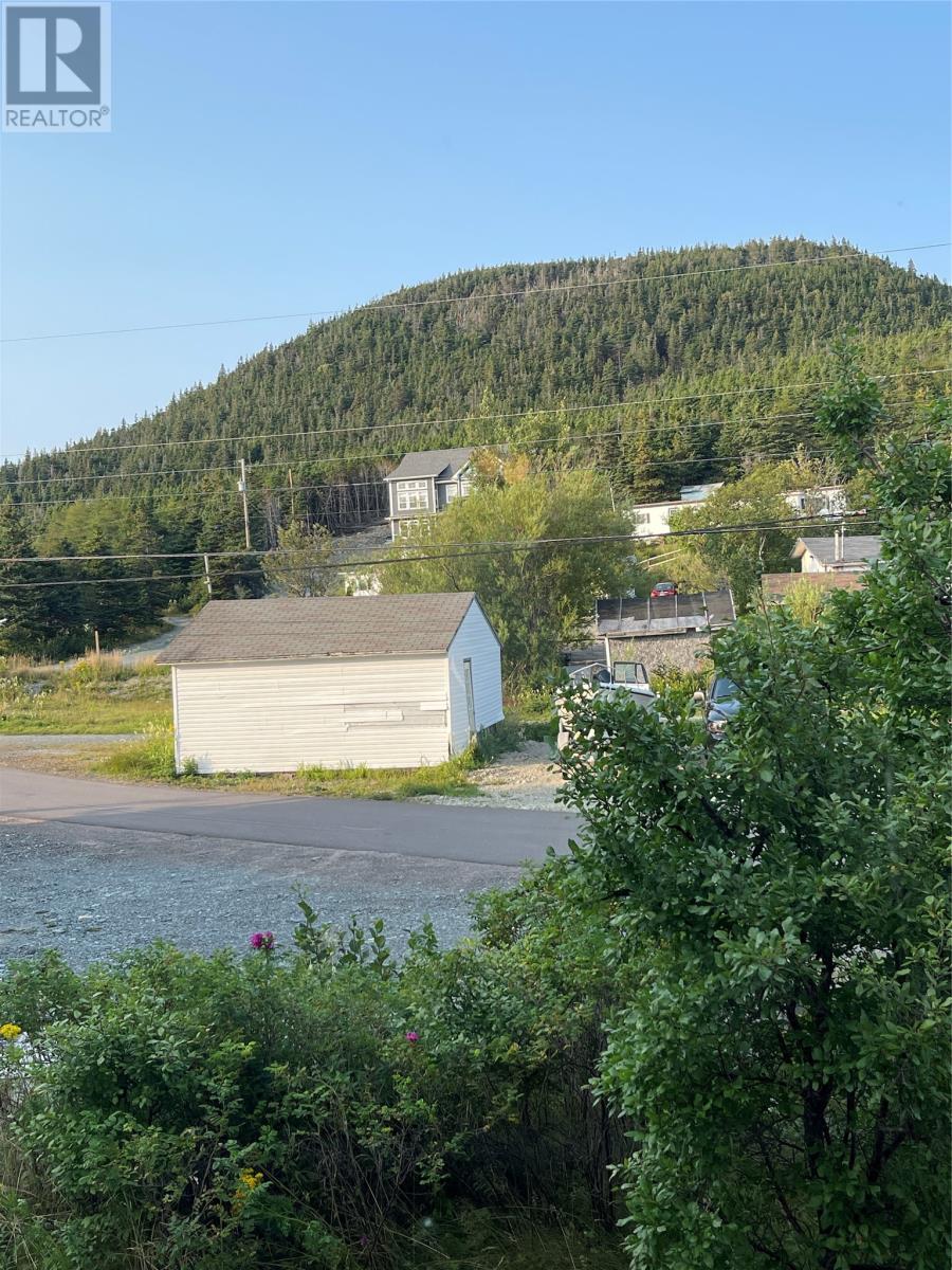 124 Raymonds Road, St. Bernards, Newfoundland & Labrador  A0E 2T0 - Photo 34 - 1281042