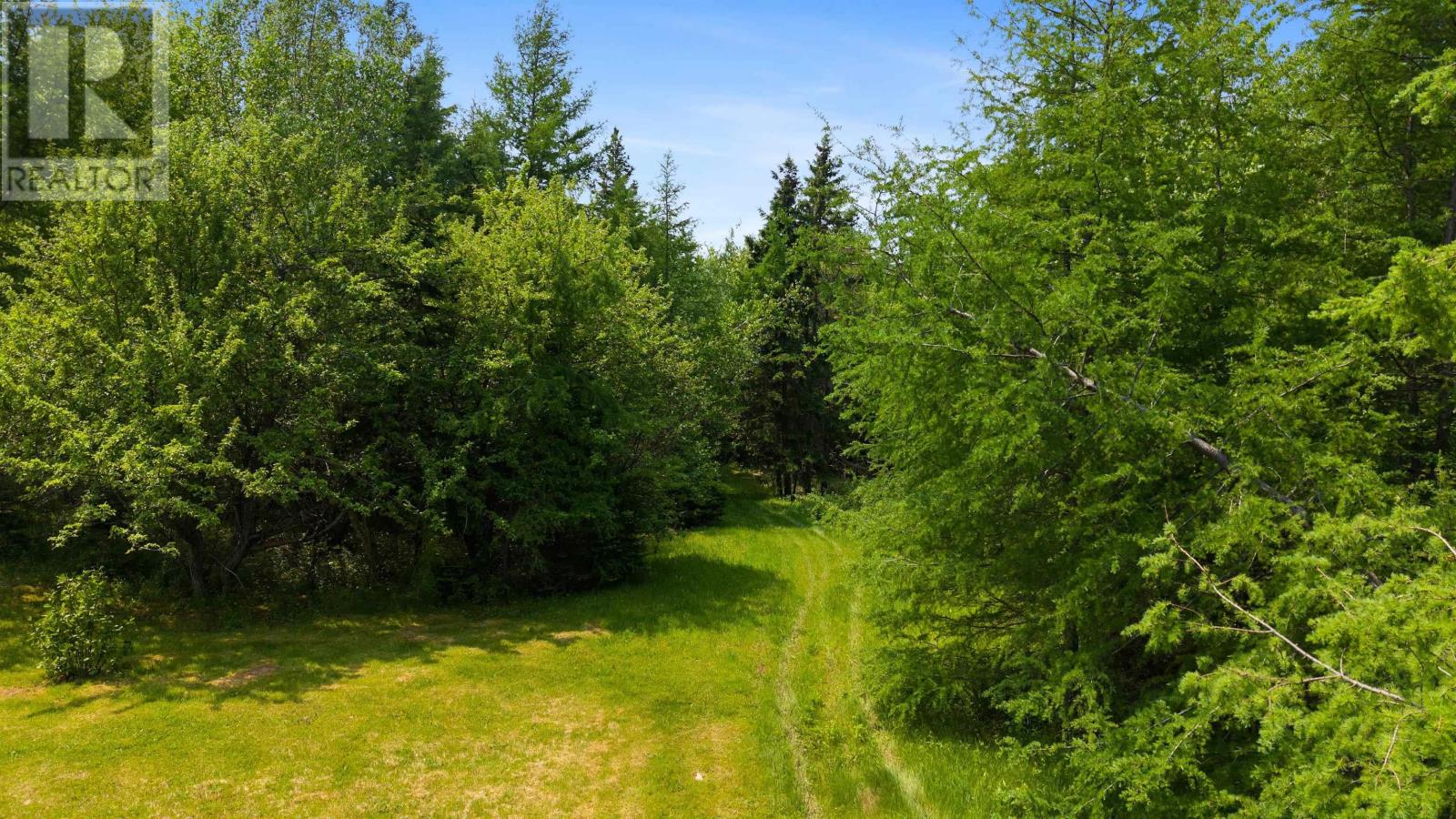 29 Allans Lane, Valley Mills, Nova Scotia  B0E 2Y0 - Photo 45 - 202501114